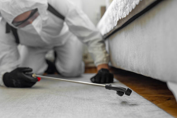 Professional Bed Bug Control technician working in Englewood, OH
